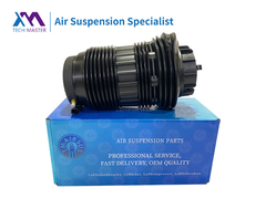 テクマスター ポルシェ パナメラ 後ろ 左と右のエアサスペンションスプリング