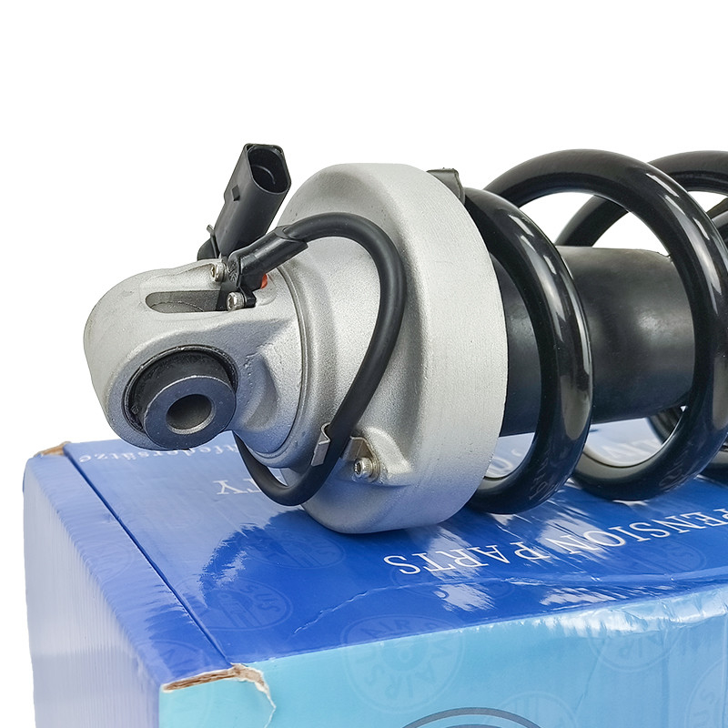 自動車ショック吸収器 オディR8 420412019AG 420412020AG フロントアフターマーケットショック吸収器